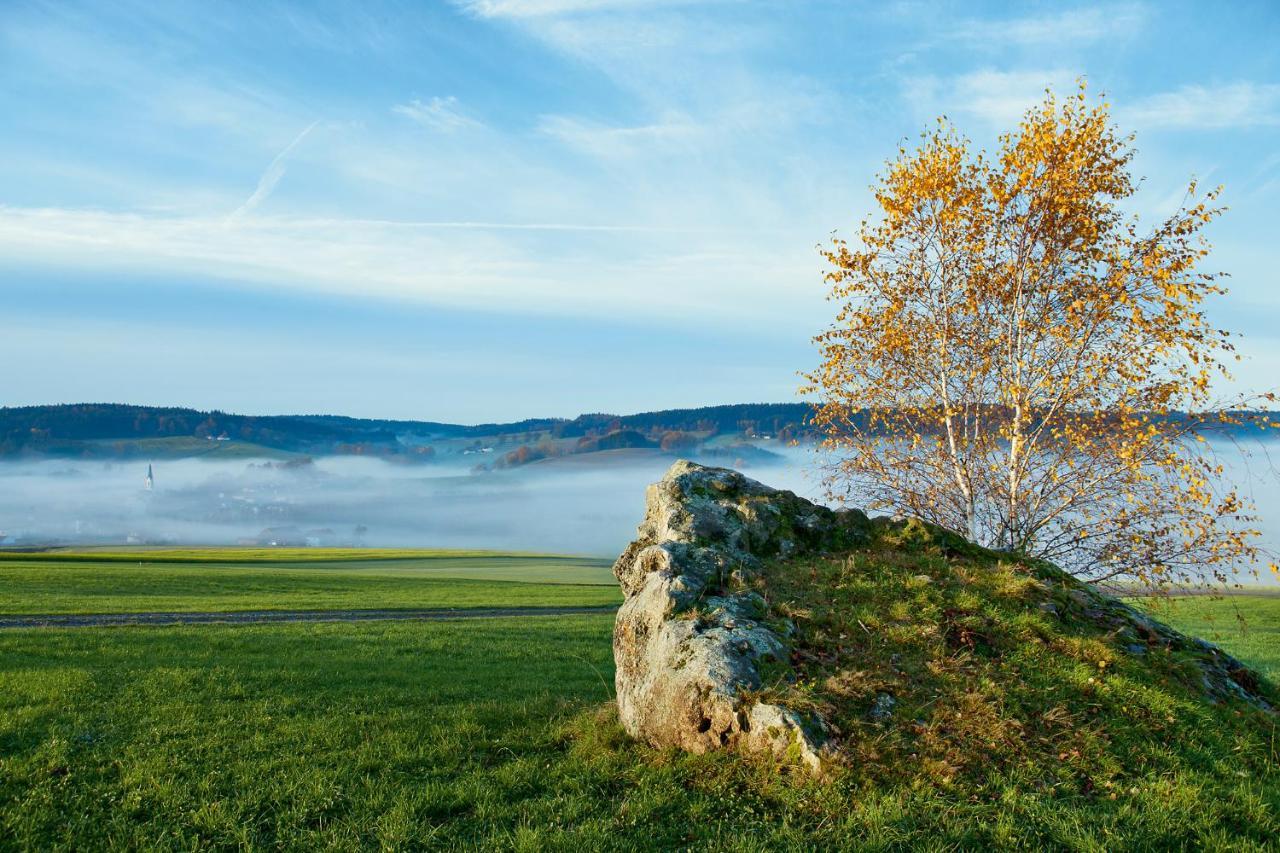 Best Western Aparthotel Birnbachhoehe Бад-Бирнбах Экстерьер фото